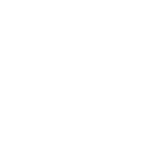 Icon 11